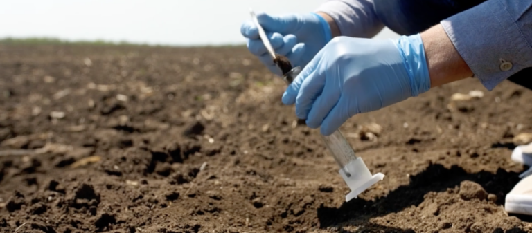 Soil Testing in Tirunelveli