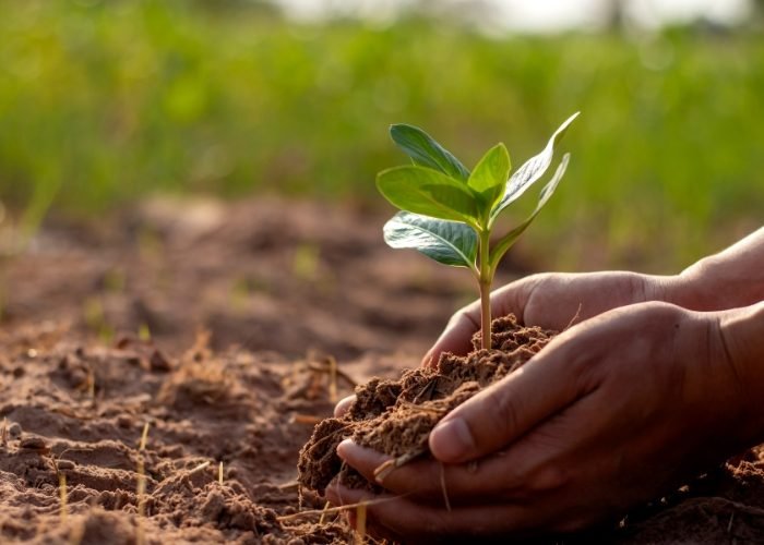 Advance Soil Farming Set up in Tamil Nadu